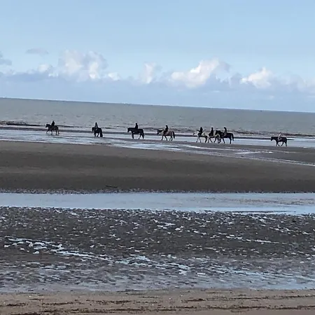 Charming Flat Middle Of Trouville, 150m From Trouville-sur-Mer