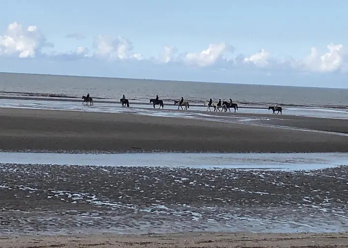 Charming Flat Middle Of Trouville, 150m From Trouville-sur-Mer